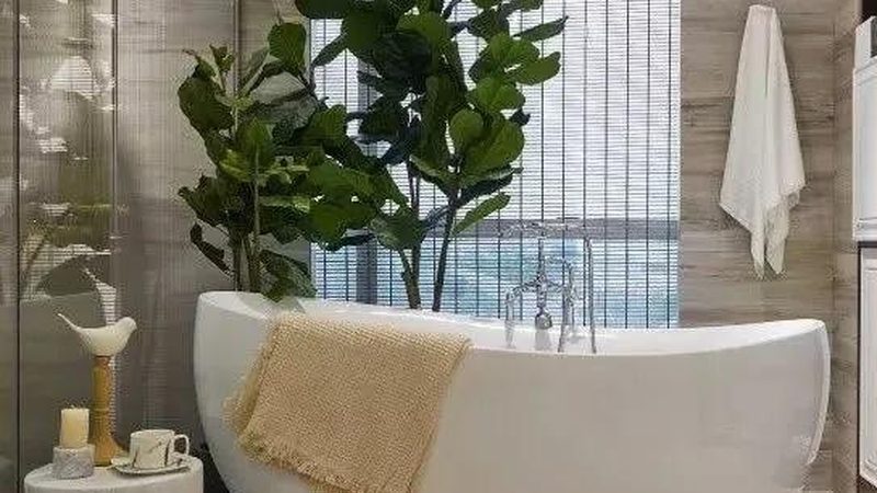在众多马桶品牌中，以下品牌在性价比方面表现较为突出：